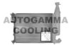 AUTOGAMMA 100155 Radiator, engine cooling